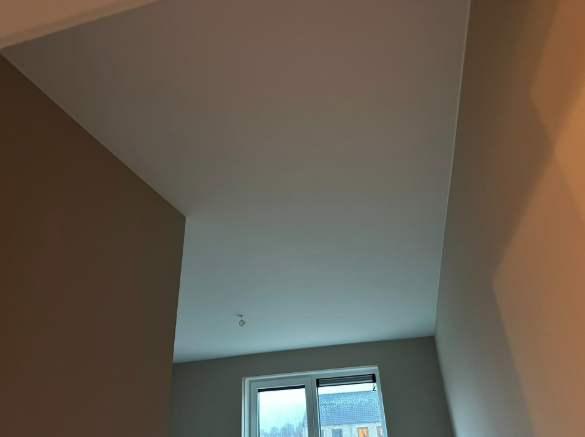 Herstel & renovatie